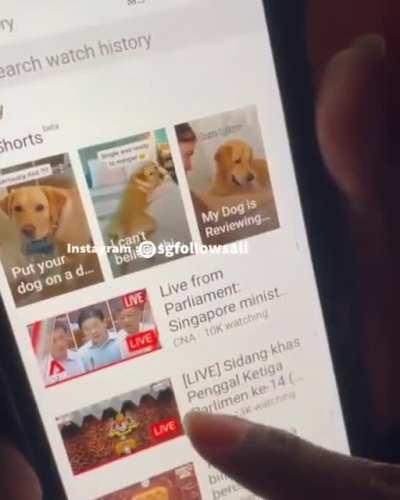 The difference between Singapore's Parliament and Malaysia's Parlimen (CR: sgfollowsall)