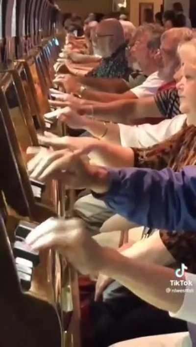 Apes waiting for Opening Bell at 9:30am so they can start buying more GME.