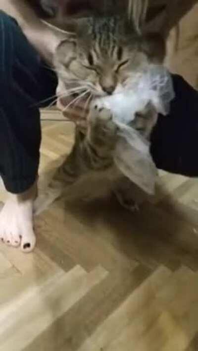 “I regret nothing! Do hear me? Nothing!”