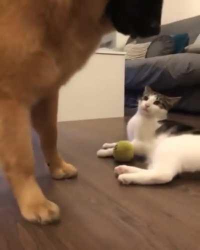 You want this? Can't have it, this mine now....