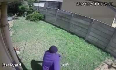 Prowler freaks out when confronted with guard dog.