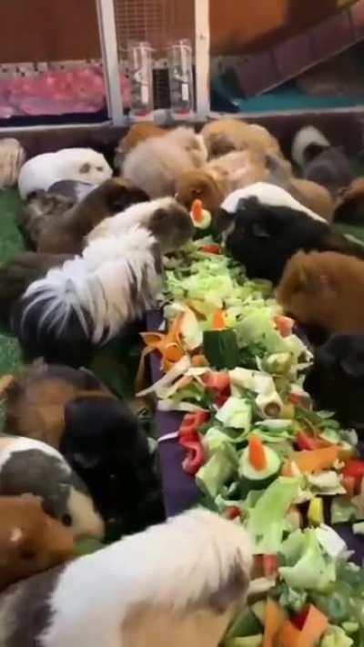 Enjoy your breakfast