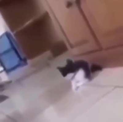 Luangameplay666 - Video #1996