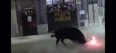 Maybe don't give a bull fire, ya ever think of that?