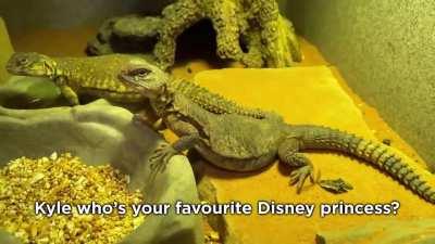 Interviewing animals with a tiny mic