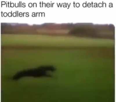 KILLKILLKILLKILLKILL