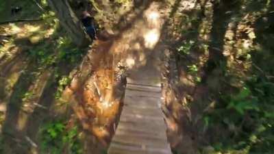 Freeride at its peak