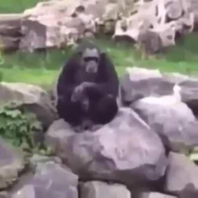 Lib has a change of heart