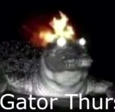 Gator Thursday doe 🥶😱😖
