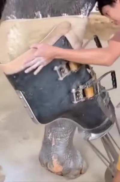 Giving the elephant a chance to walk again.