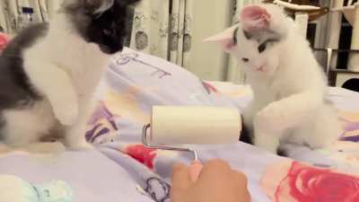 touch tha lint roller