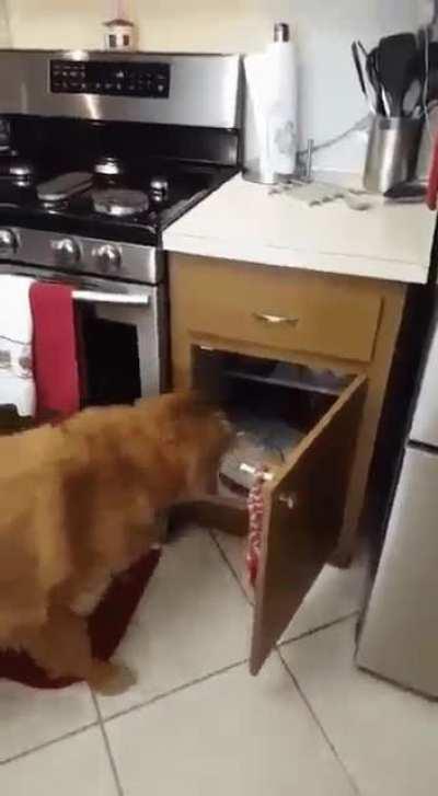 fuck YOU in particular