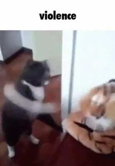 I just made the stupidest thing ever