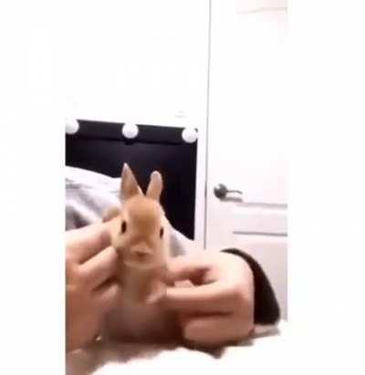 NANIKPosting - Video #7850