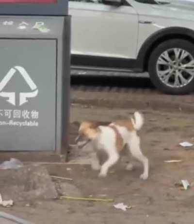 come here ya bastard!