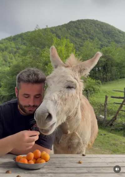 Eating apricots with one of the kindest animals is such a joy 🥰 what should the next fruit be?