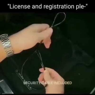 Stay in your vehicle sir