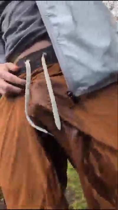 Pissing myself to please Alpha