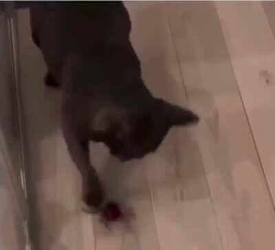 Don't pick a fight with an opponent you're scared of