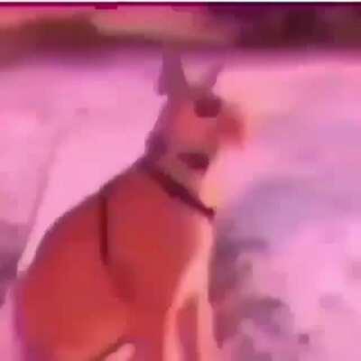 This is what they took from you