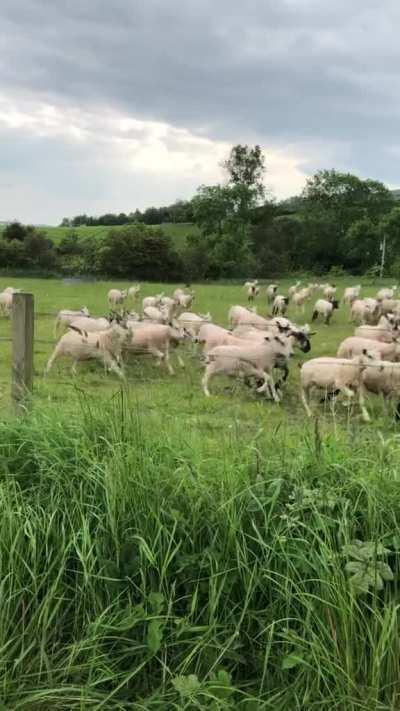 Hard worker. Looks like she’s having a blast.
