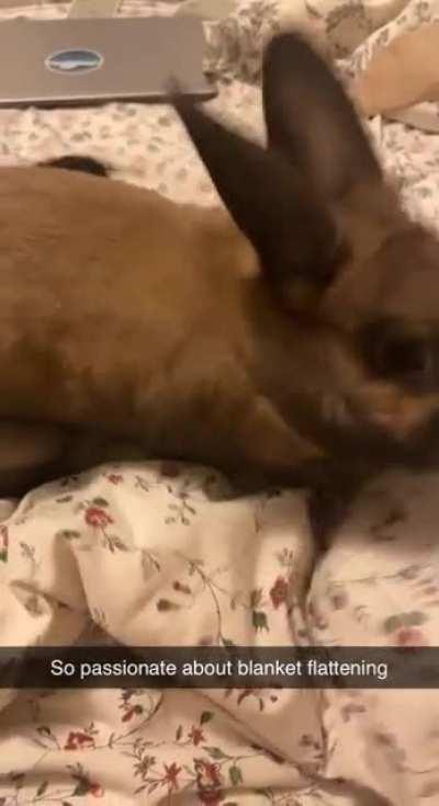 Does anyone know what she’s actually trying to accomplish? She does this for hours unend on literally any fabric. It’s adorable!