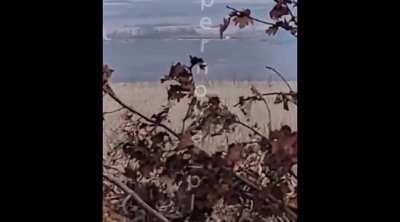 Ukraine Comp 2022-2025