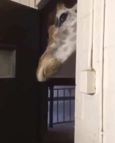 there out of controlle