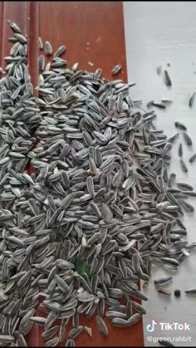 I don't understand the motivation for any moment in this entire video.