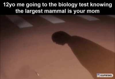 Edit of u/V0st0's post