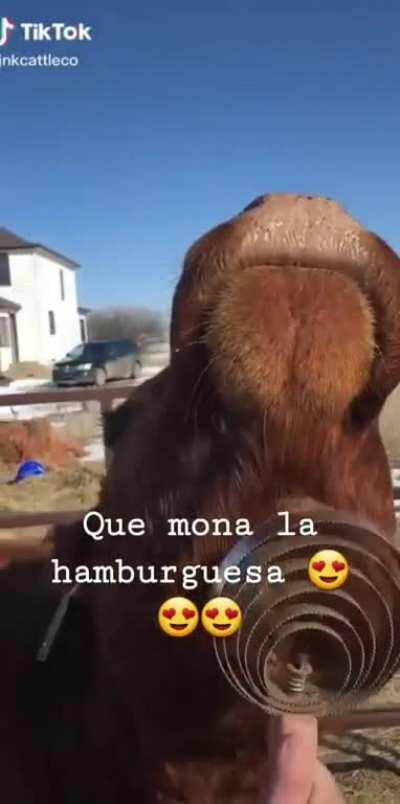 Que linda hamborguesa