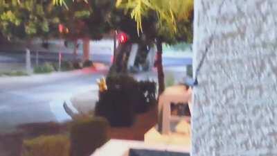 Waking up at 1 AM to this idiot screeching through our apartment complex. I have... So many questions.