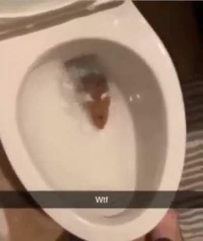 Not a cat but still smol