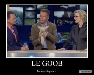 The scent of the desert