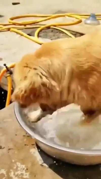 Not mine, but it belongs here, derpinitly belongs