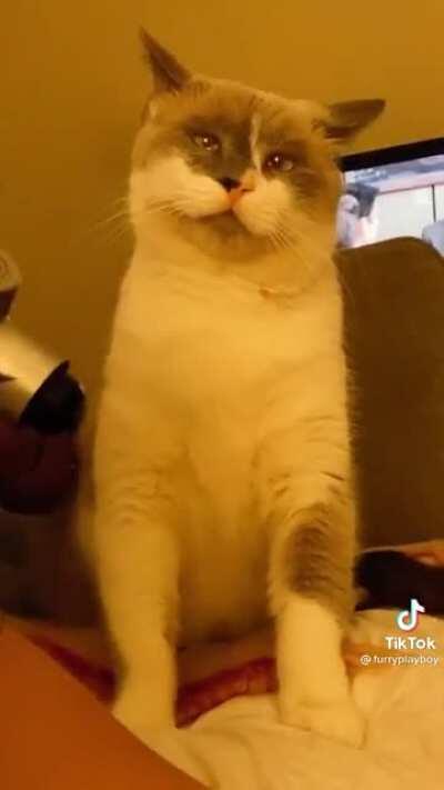 Thaaaat’s the spot