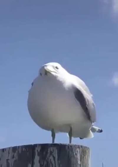 Don't know if it's a repost, new to this sub