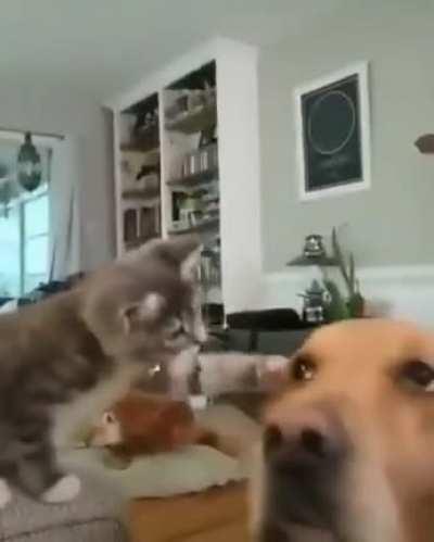 MRW i meet an old friend