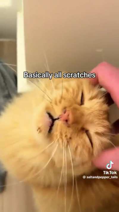 ICE took his person and now he waits for someone who is not coming home. Also, fuck everyone who voted for Trump.