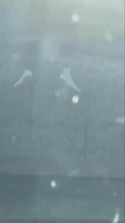 Father/Son mission but it's oranges instead of Jimmy