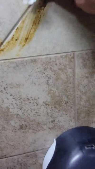 Public Scat Mess 😈