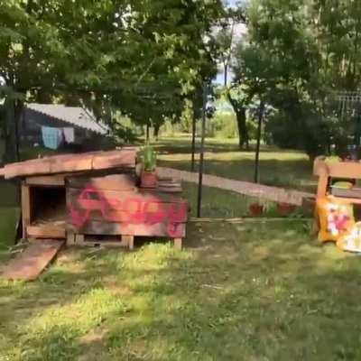 Playing a game of tag in the yard with Peggy