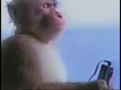 #3 appreciation post