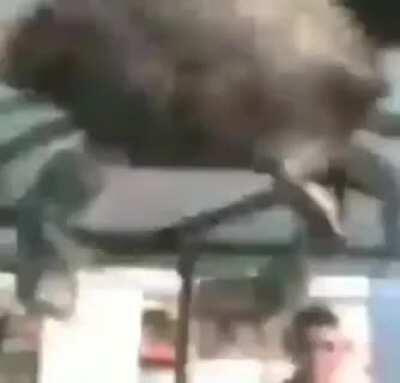 gravando o melhor vídeo do mundo