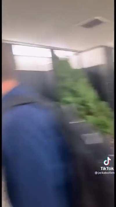 Christmas tree in the boys bathroom