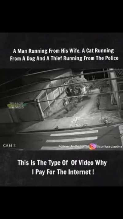 Praise security cams for this shit