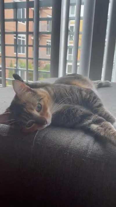 Winter gets woken up