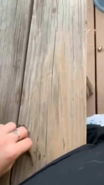 A stick is a stick no matter how small