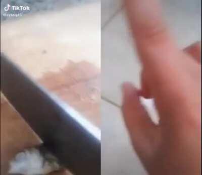 Ya amına koyayım bu millet neden böyle? Küçücük kız videosuna yüz bin like gelmedi diye balığını öldürebiliyor. Bu sosyal medyayı çocuklara yasaklamak gerekli aq.