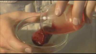 Snake Poison vs Human Blood